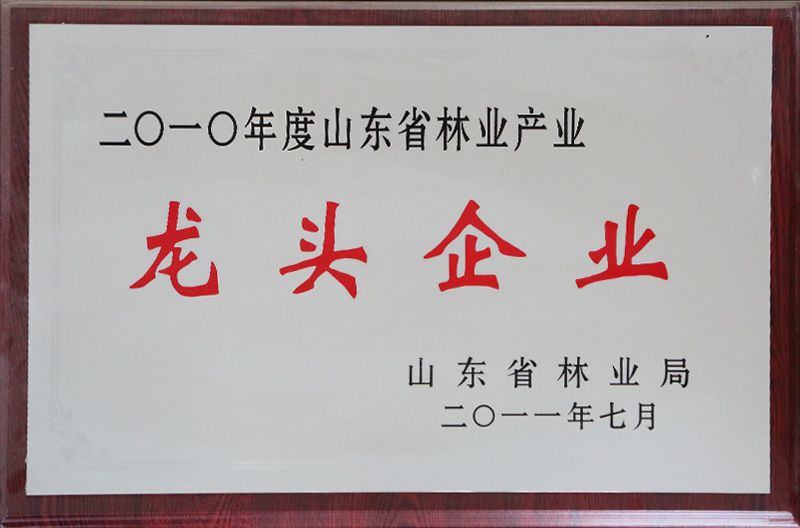 Shandong Heze Maosheng Wood Products Co. Ltd.